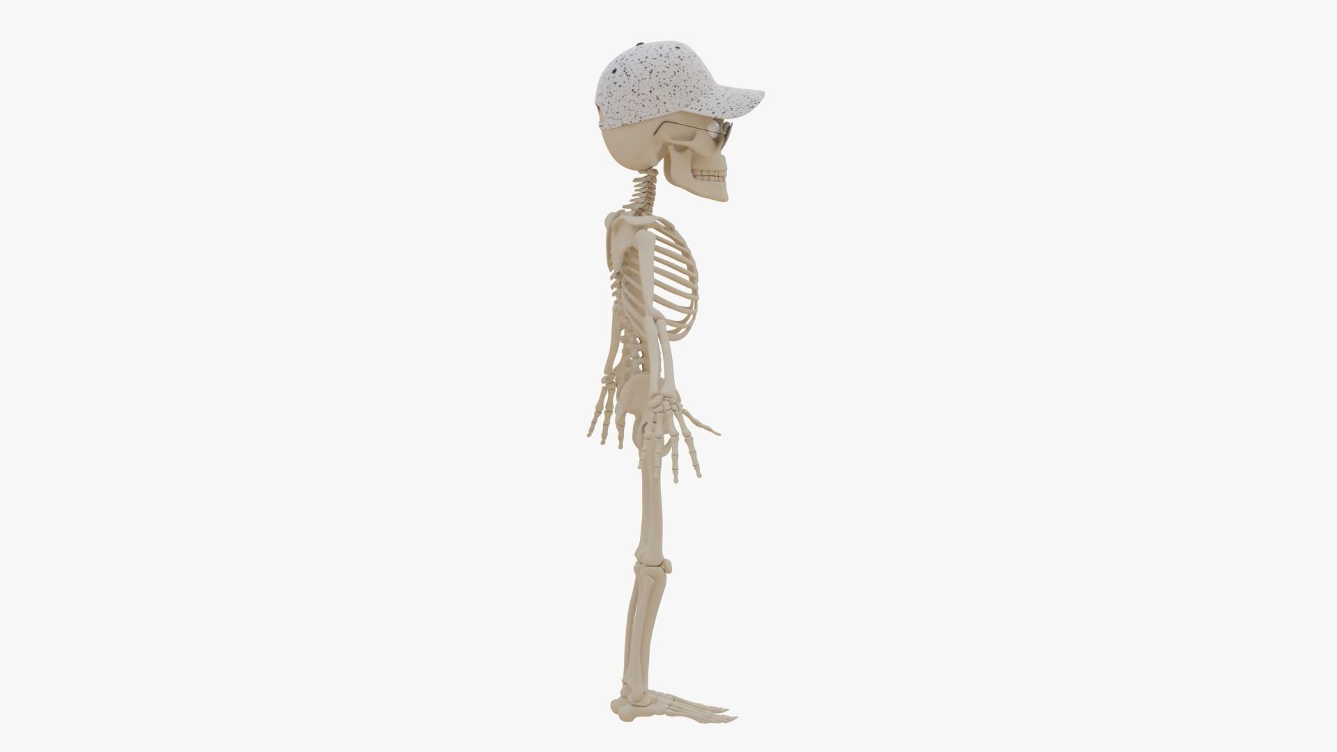 Stylized Human Skeleton Fully Rigged 3D model_52