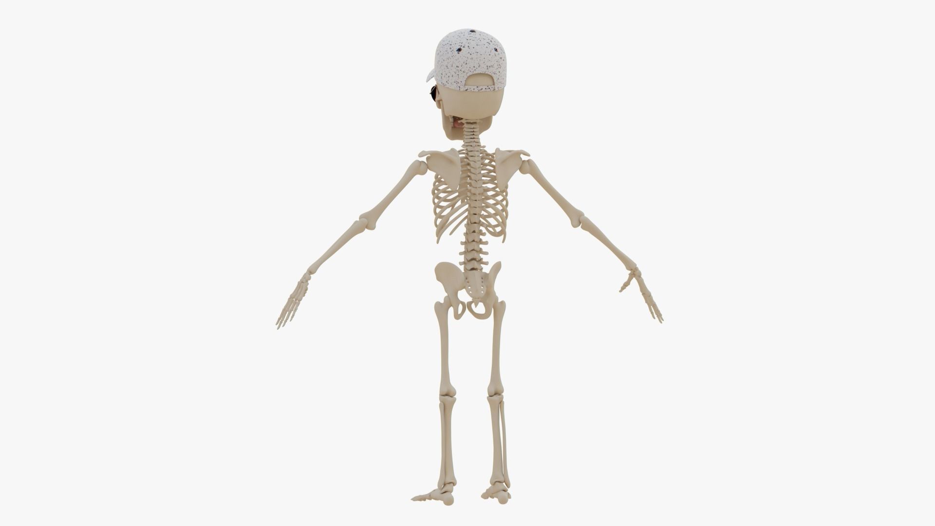Stylized Human Skeleton Fully Rigged 3D model_55