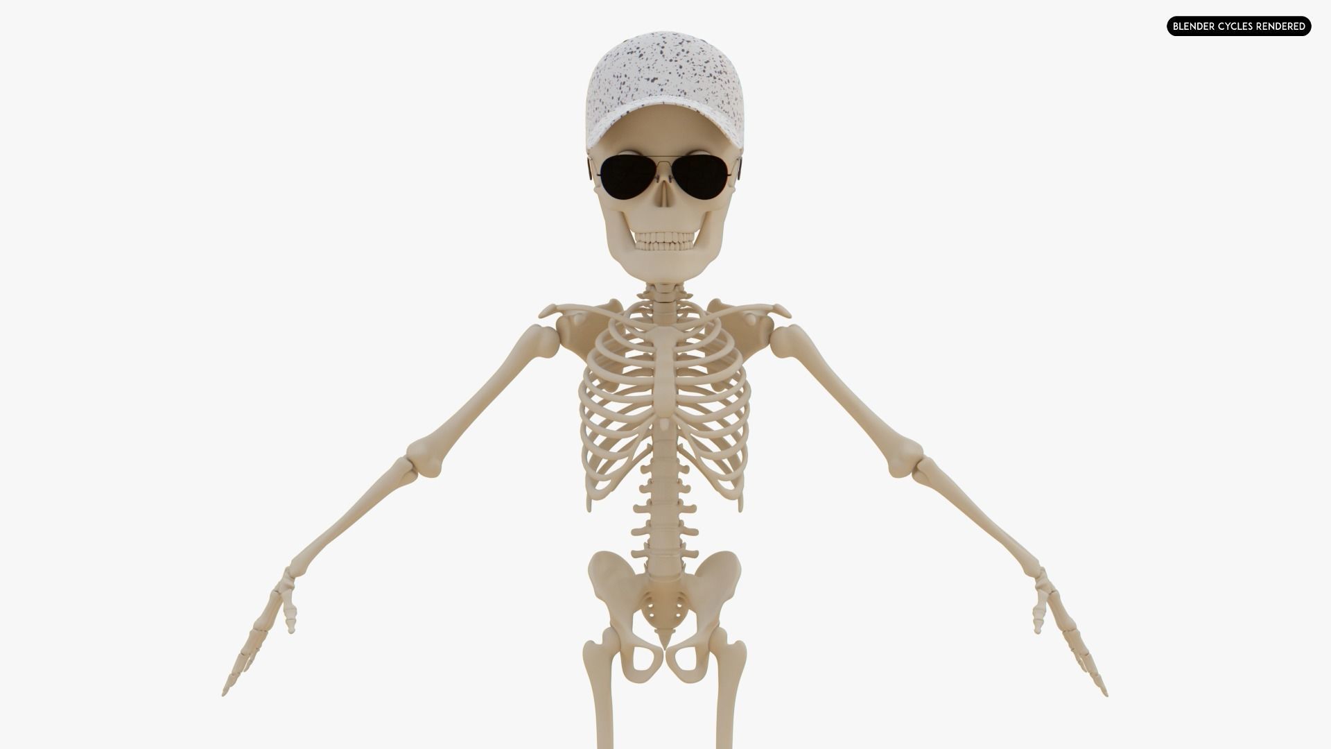 Stylized Human Skeleton Fully Rigged 3D model_2