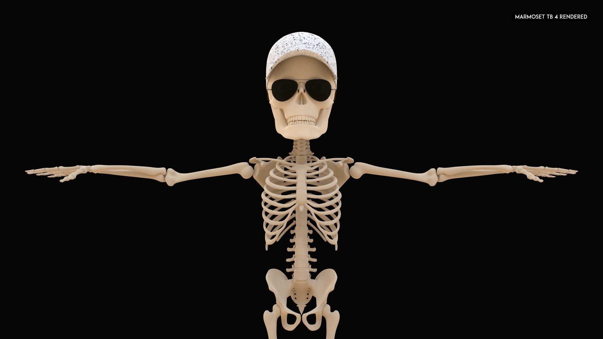 Stylized Human Skeleton Fully Rigged 3D model_19