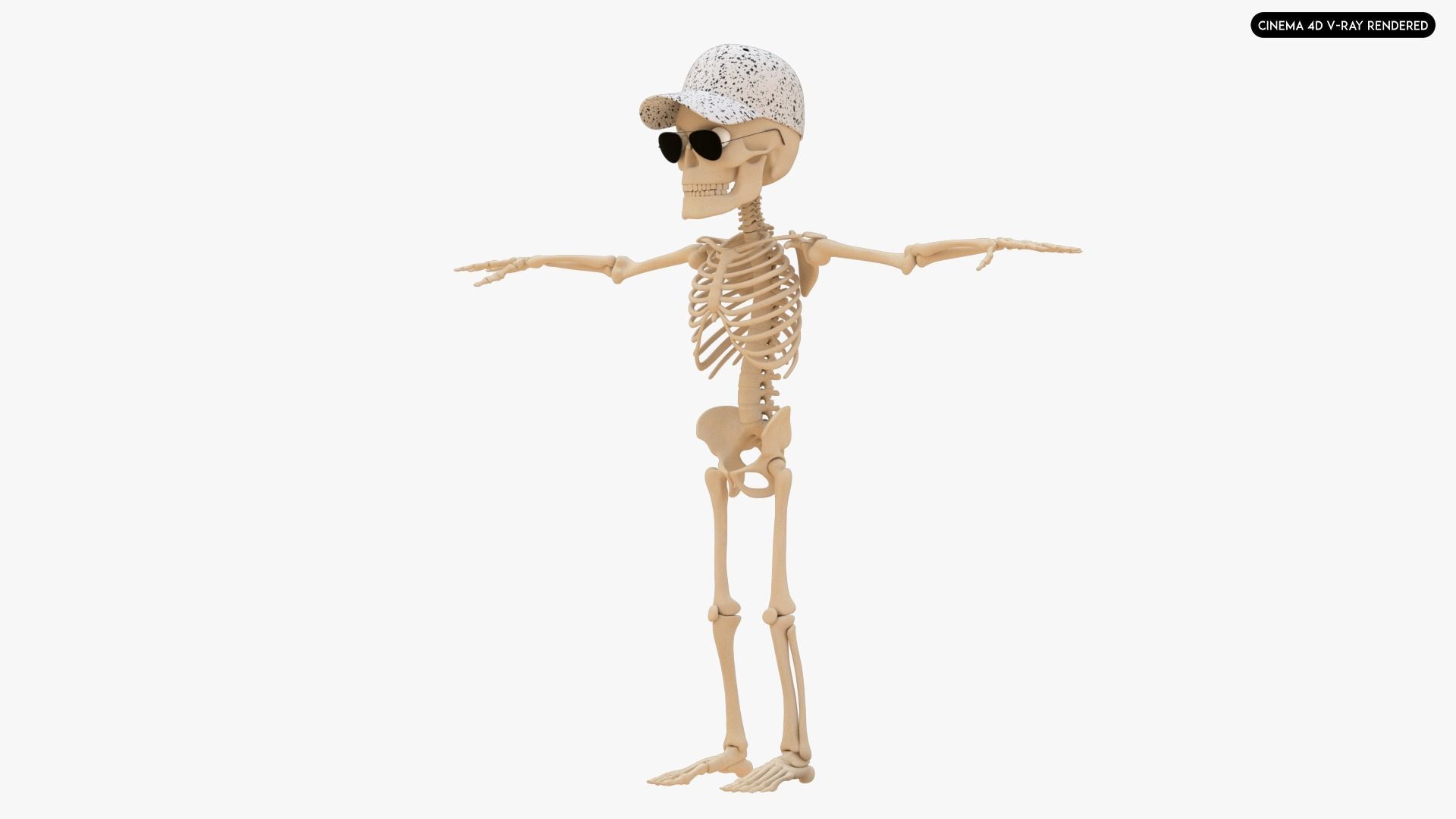 Stylized Human Skeleton Fully Rigged 3D model_25