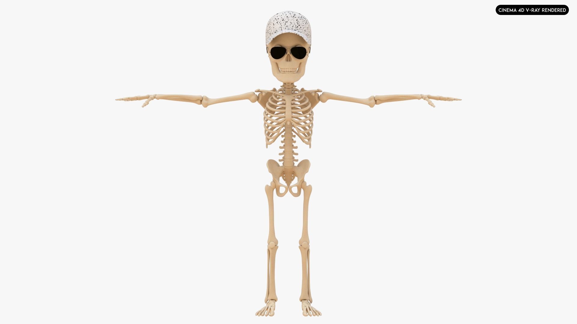 Stylized Human Skeleton Fully Rigged 3D model_24