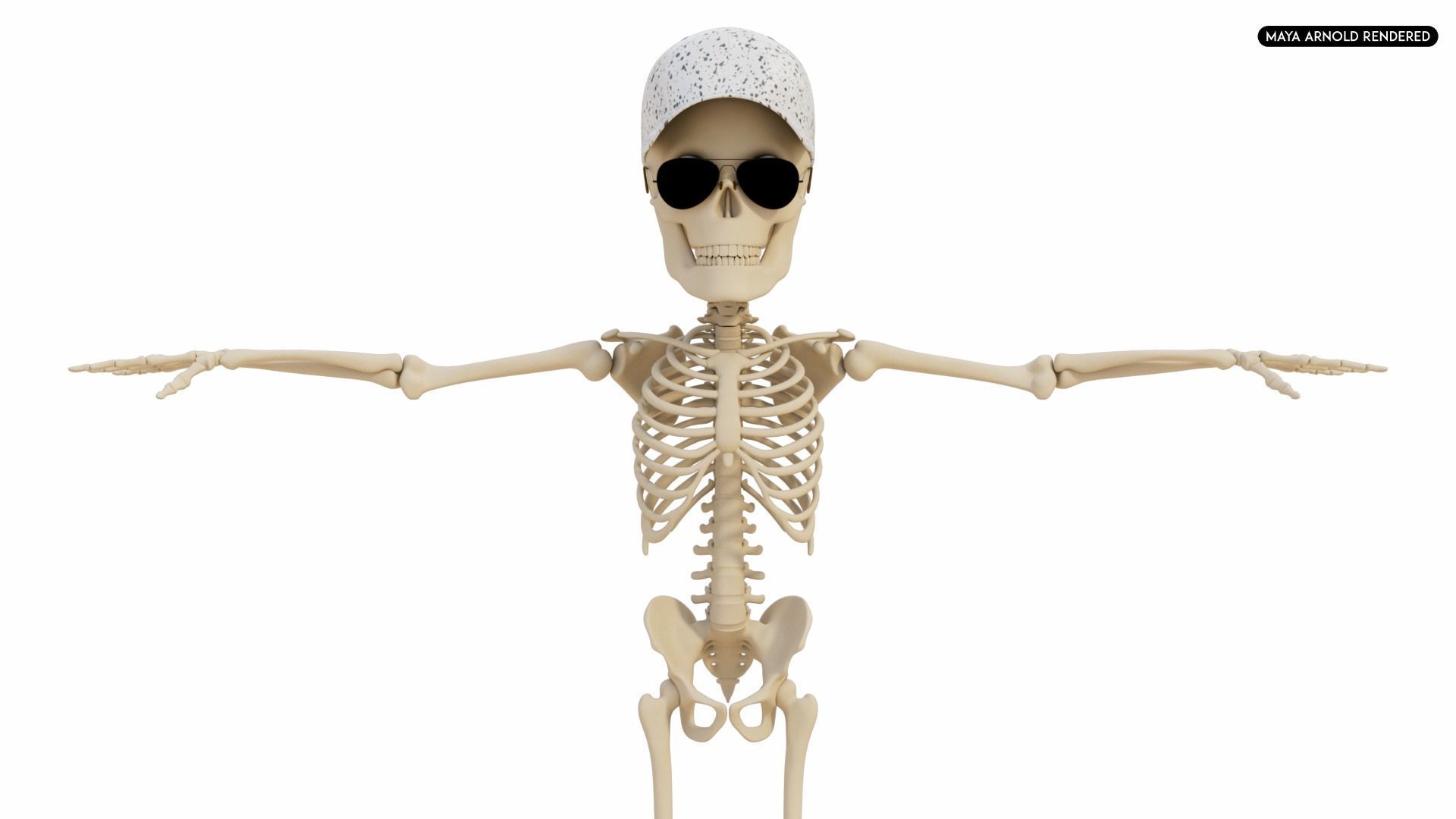 Stylized Human Skeleton Fully Rigged 3D model_31