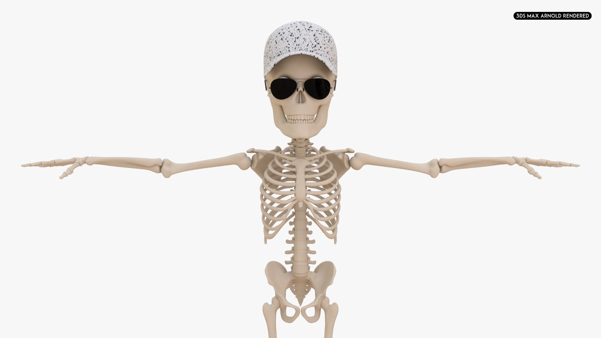 Stylized Human Skeleton Fully Rigged 3D model_28
