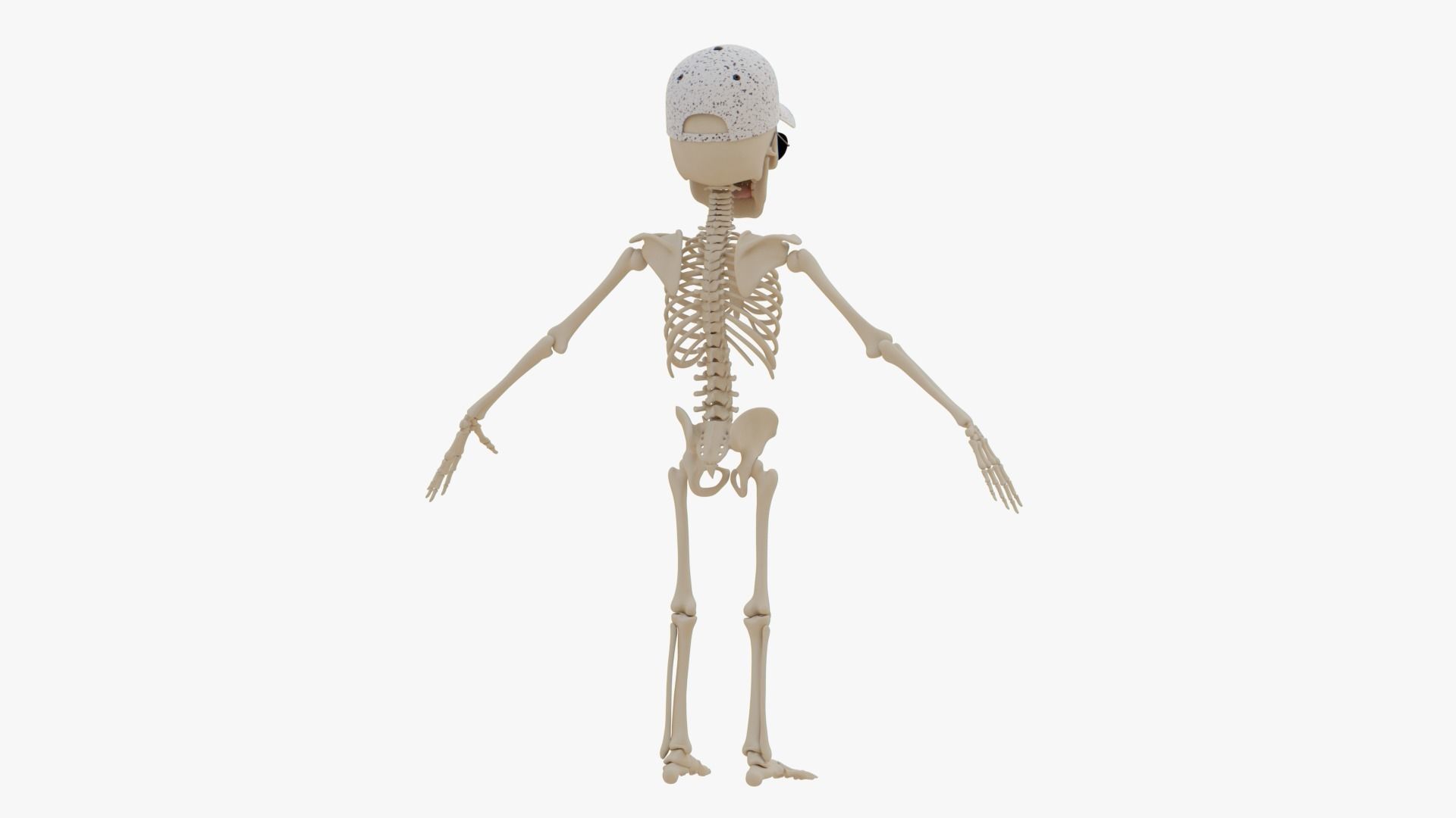 Stylized Human Skeleton Fully Rigged 3D model_54