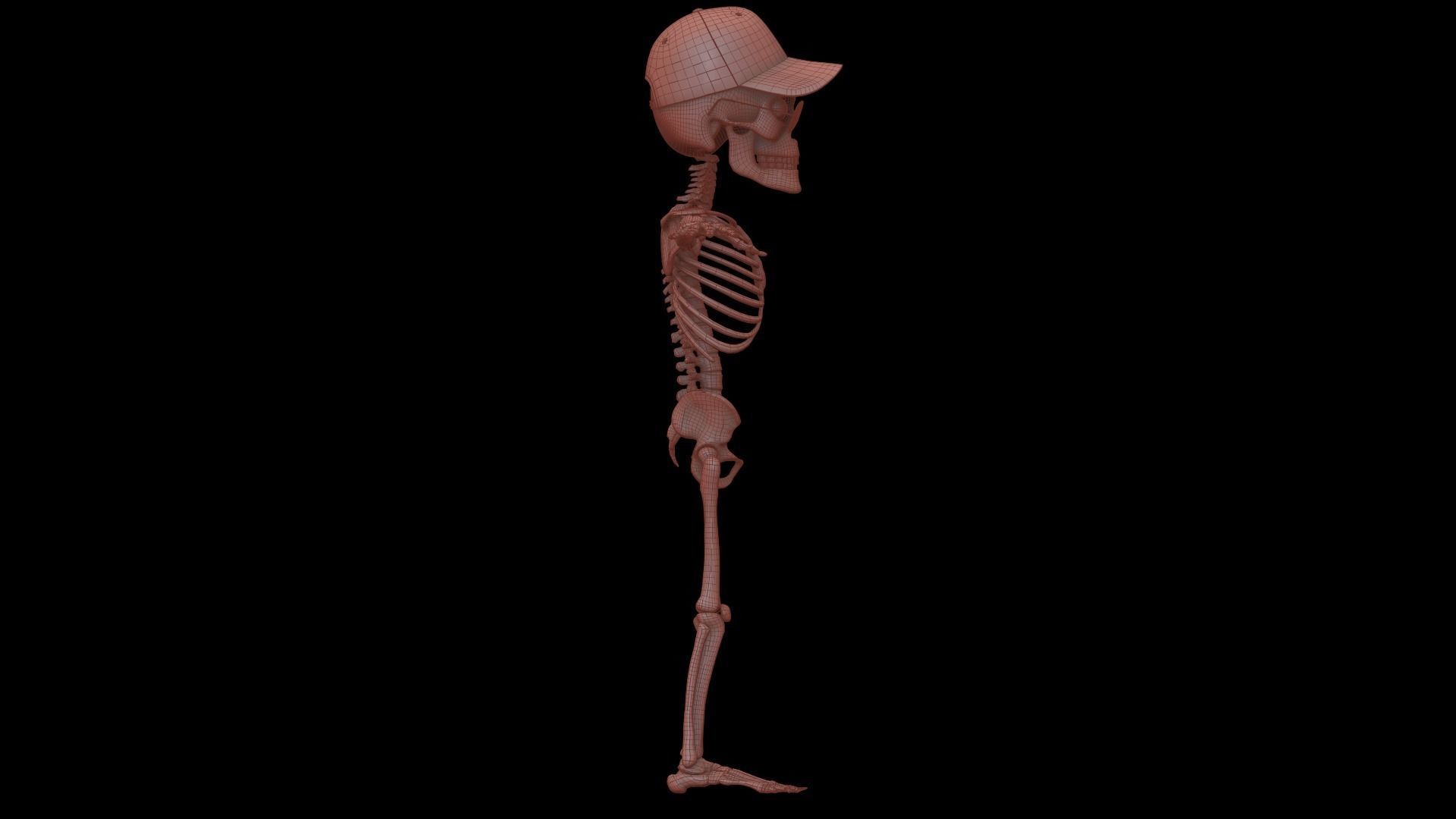 Stylized Human Skeleton Fully Rigged 3D model_38