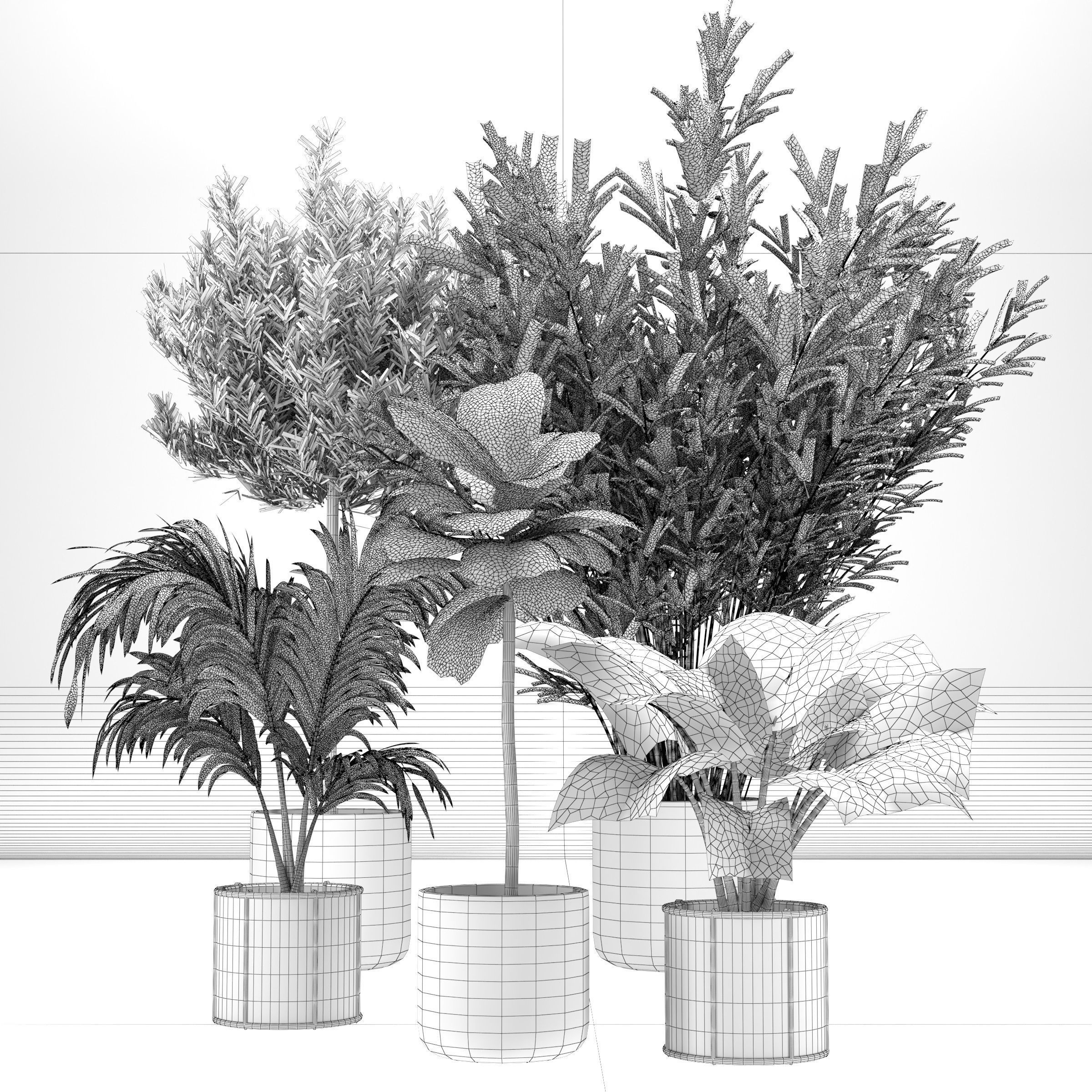 Indoor plant -set 01 3D model_2