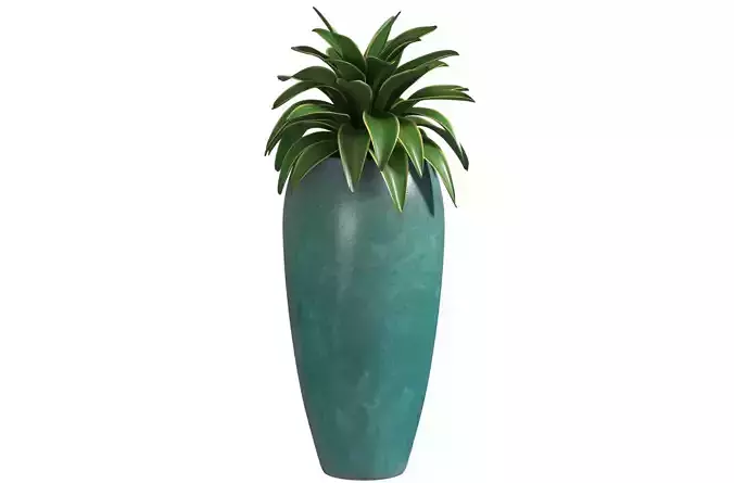 Agave plant in tall modern vase  3D model