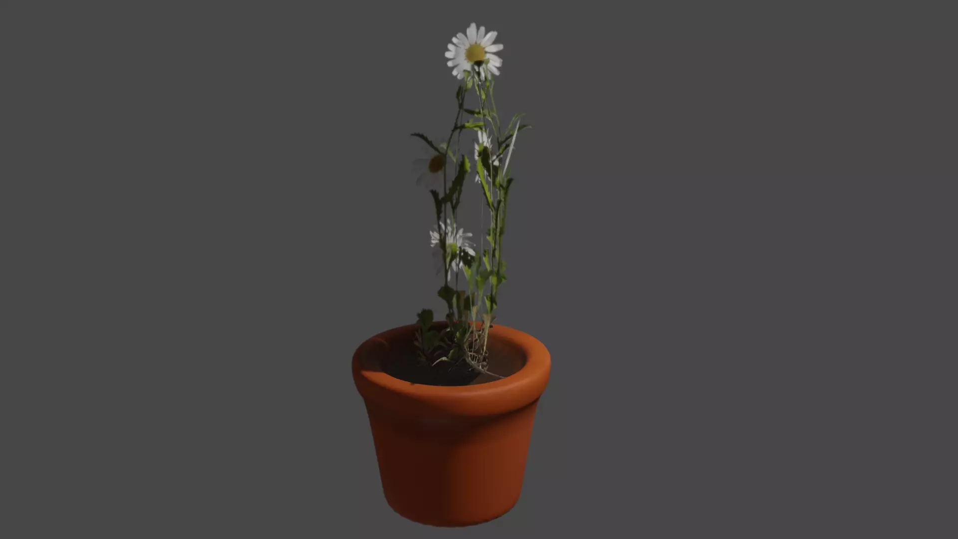 flower pot Free low-poly 3D model_0