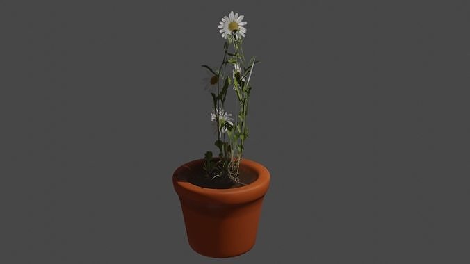flower pot Free low-poly 3D model
