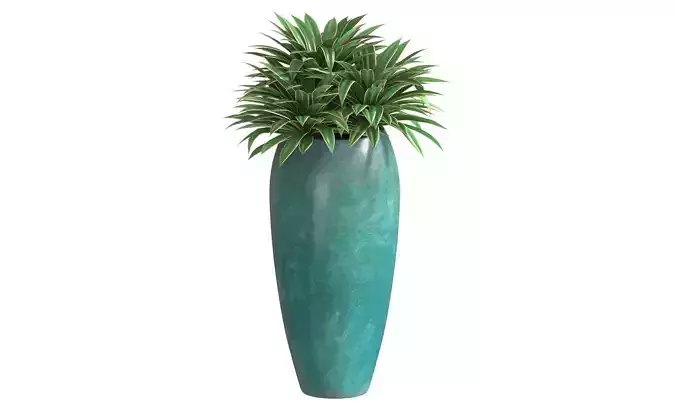 Agave plant in tall modern pot 3D model