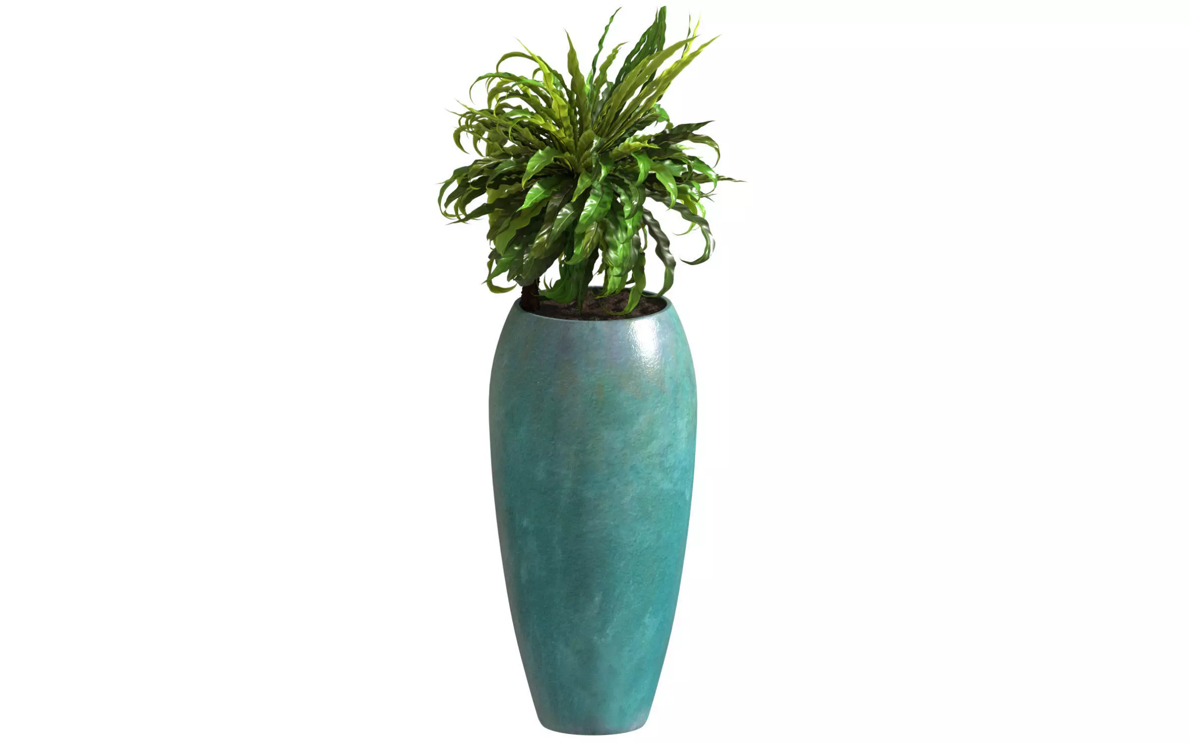 Fern Asplenium Tall Glazed Pot 3D model_0
