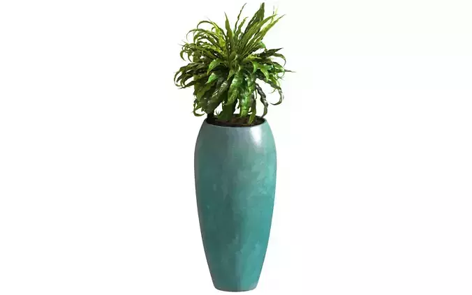 Fern Asplenium Tall Glazed Pot 3D model
