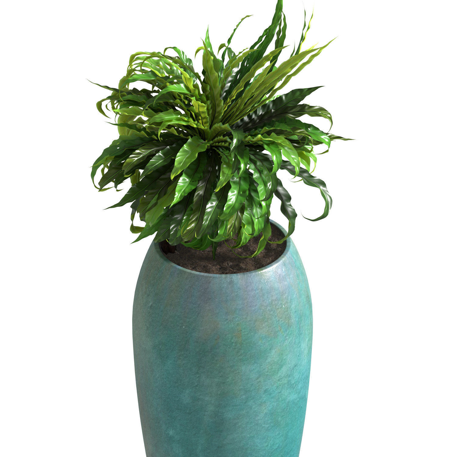 Fern Asplenium Tall Glazed Pot 3D model_1