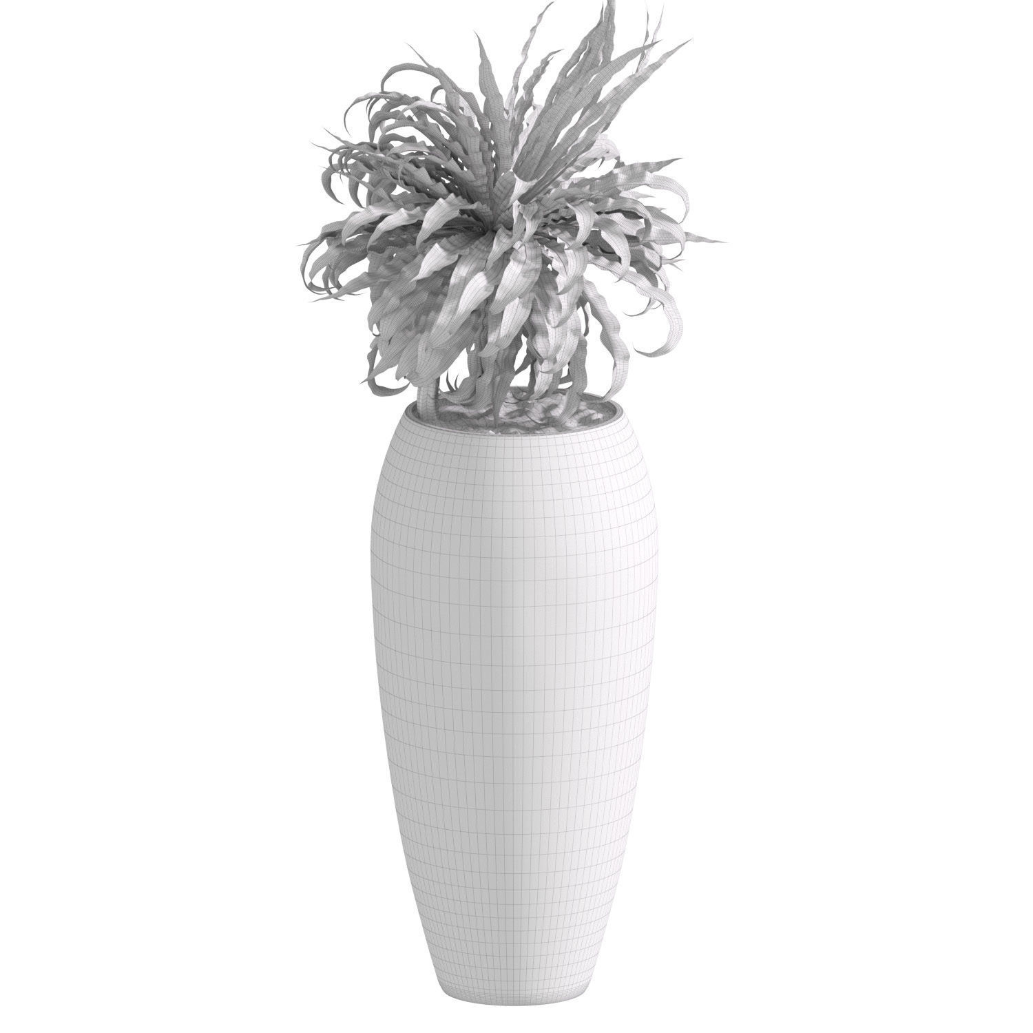 Fern Asplenium Tall Glazed Pot 3D model_2