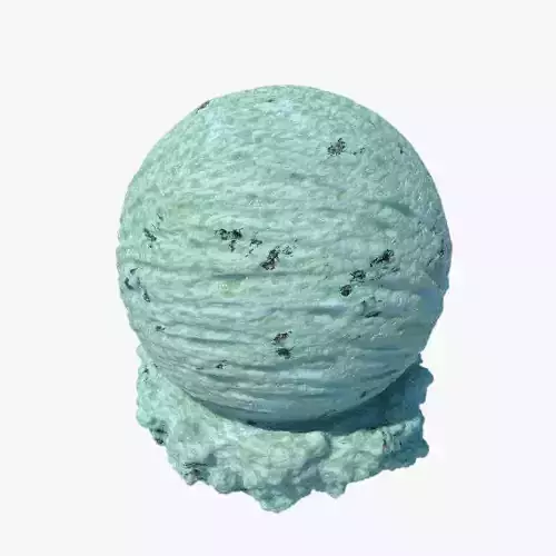 Mint Chocolate Chip Ice Cream Scoop