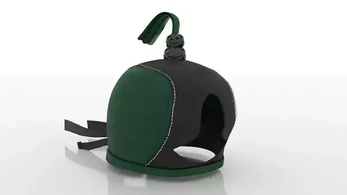 Dutch style FalconHood 3D model