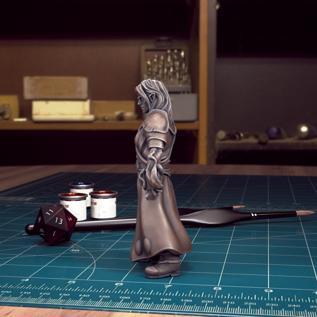 Curse of Strahd - Kasimir Velikov - Pre-Supported 3D print model_2