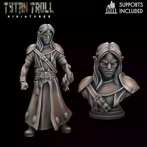 Curse of Strahd - Kasimir Mini Bust Combo - Pre-Supported 