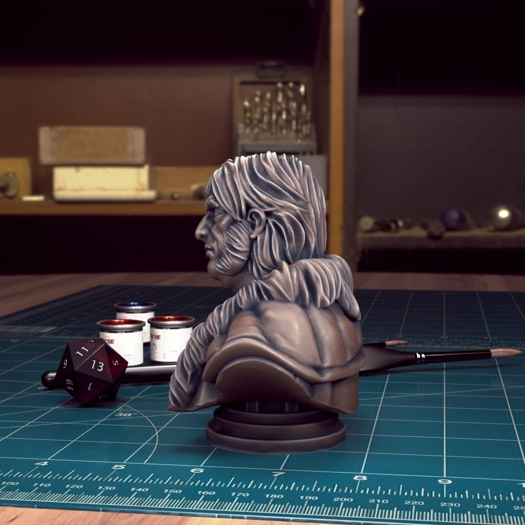 Curse of Strahd - Bust Pack 04 - Pre-Supported 3D print model_7