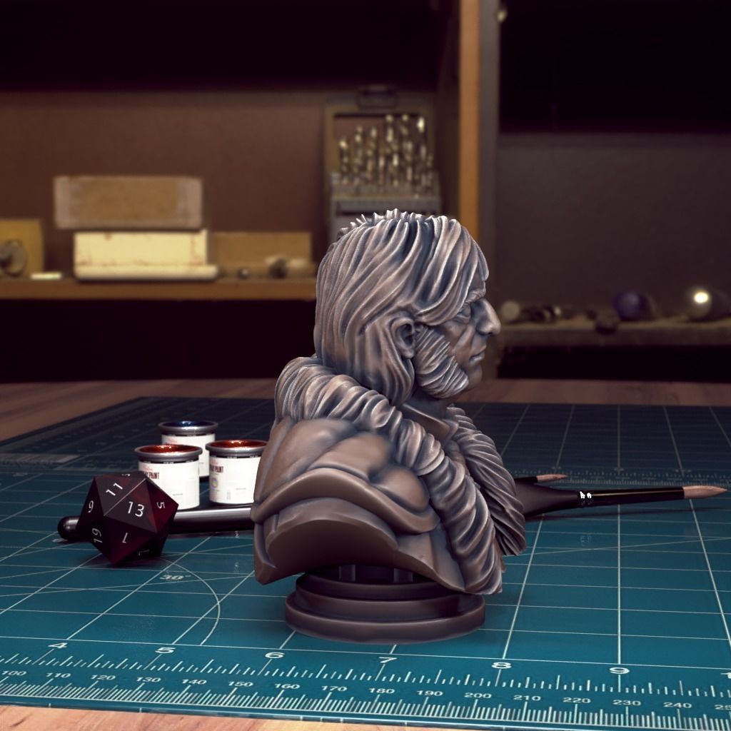 Curse of Strahd - Bust Pack 04 - Pre-Supported 3D print model_9