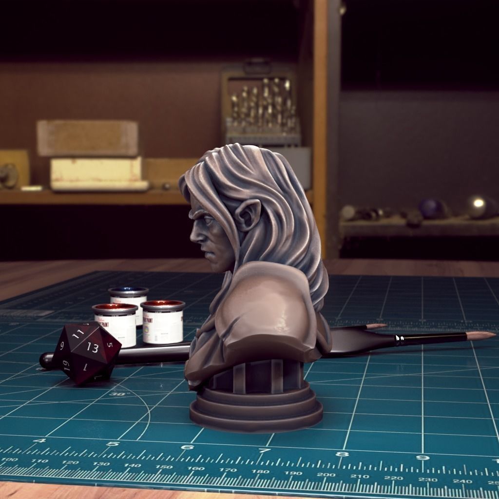 Curse of Strahd - Bust Pack 04 - Pre-Supported 3D print model_3