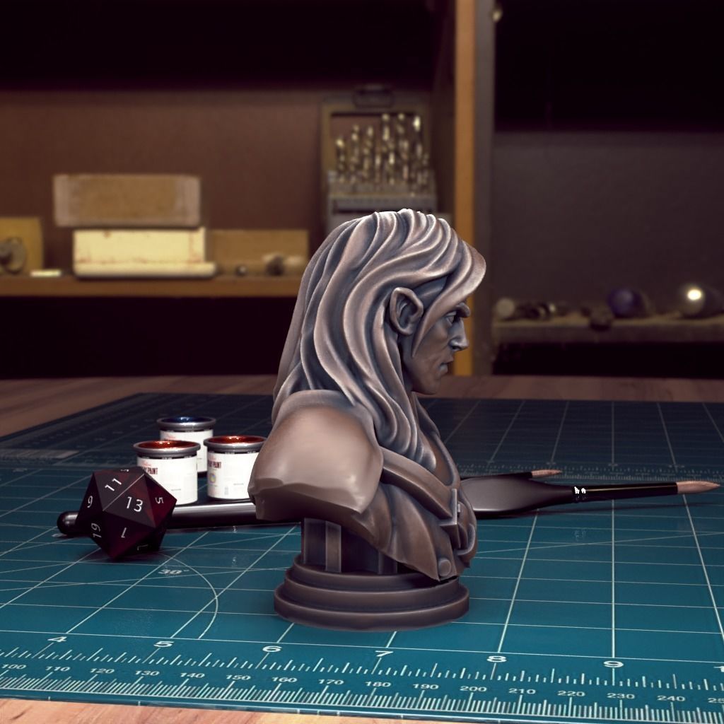 Curse of Strahd - Bust Pack 04 - Pre-Supported 3D print model_5