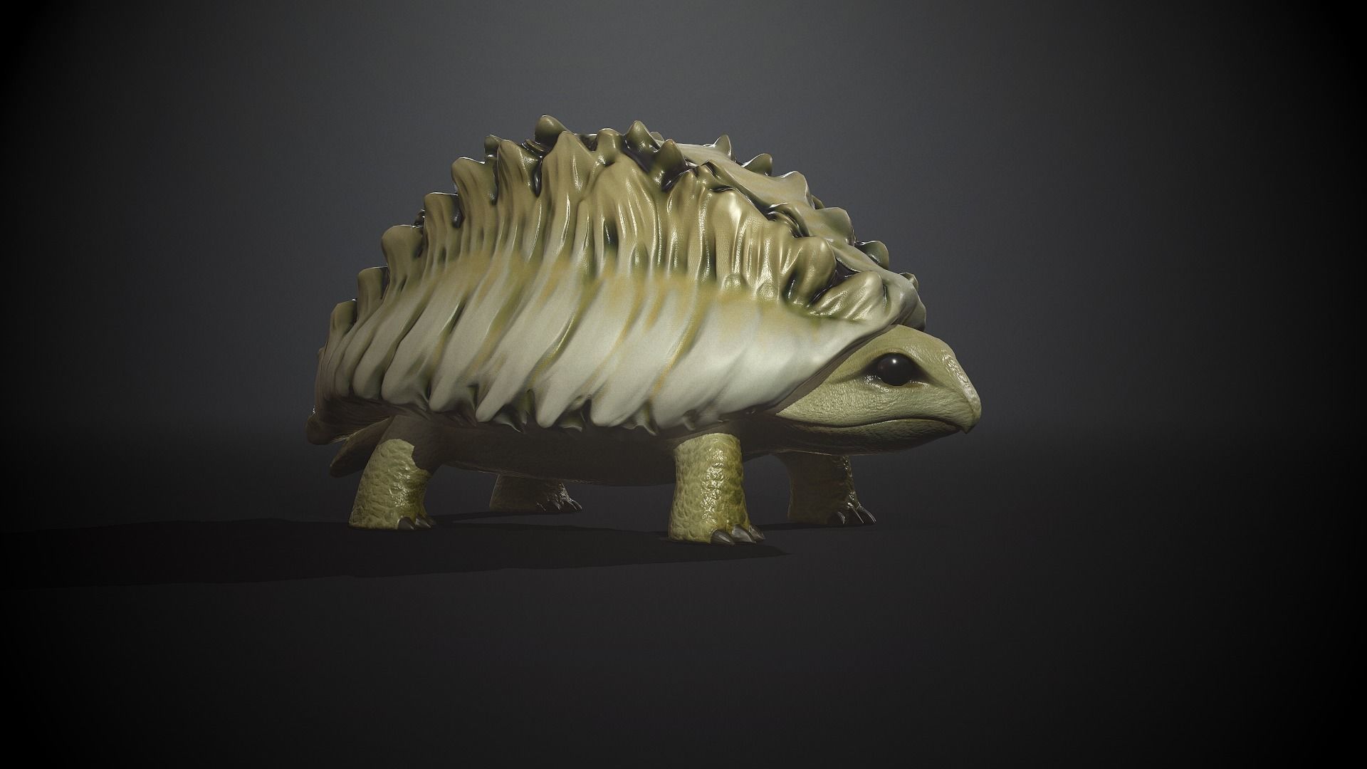 Tortoise1 - Game Ready Low-poly 3D model Low-poly 3D model_5