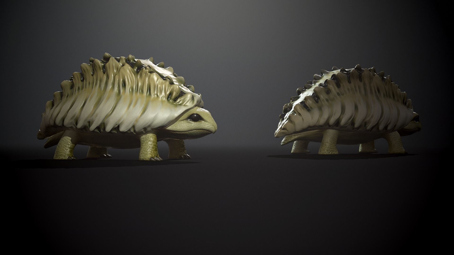 Tortoise1 - Game Ready Low-poly 3D model Low-poly 3D model_4