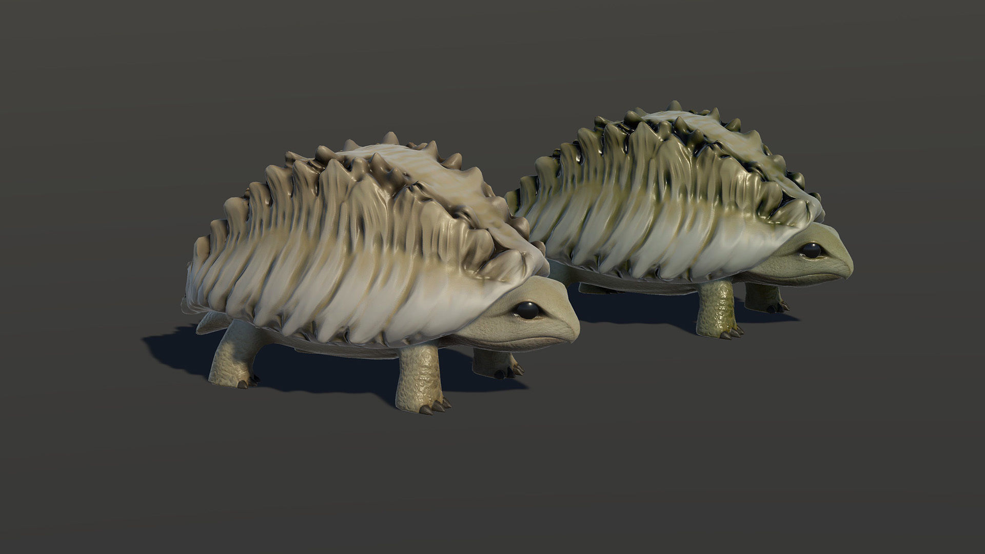 Tortoise1 - Game Ready Low-poly 3D model Low-poly 3D model_15