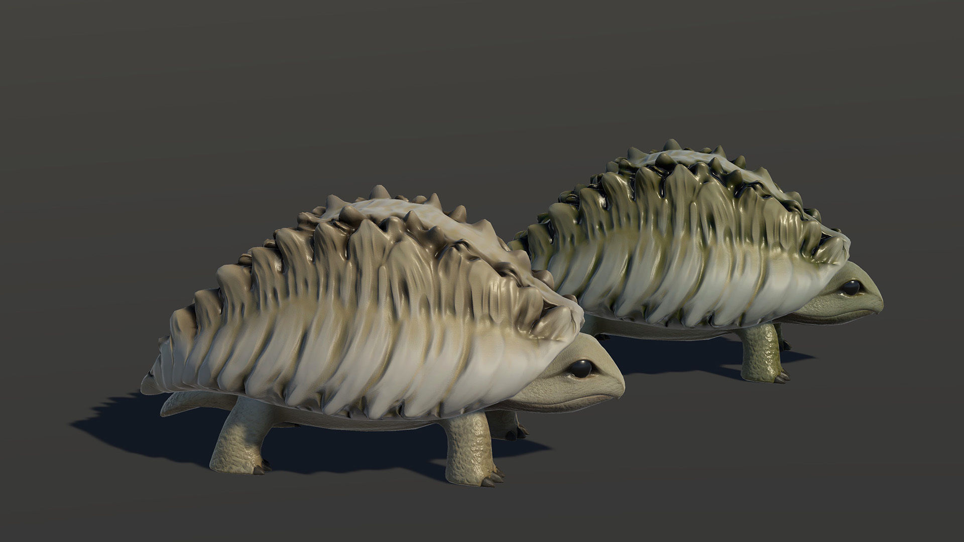 Tortoise1 - Game Ready Low-poly 3D model Low-poly 3D model_16