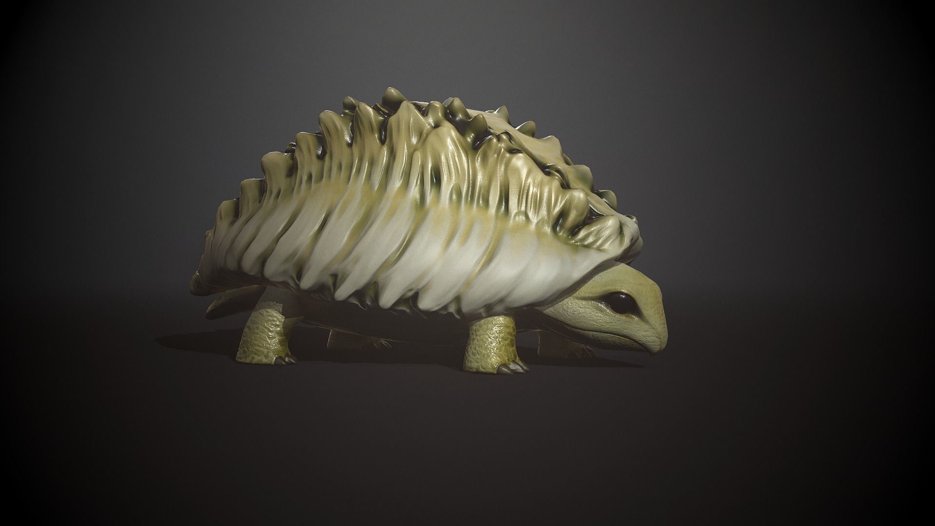 Tortoise1 - Game Ready Low-poly 3D model Low-poly 3D model_6