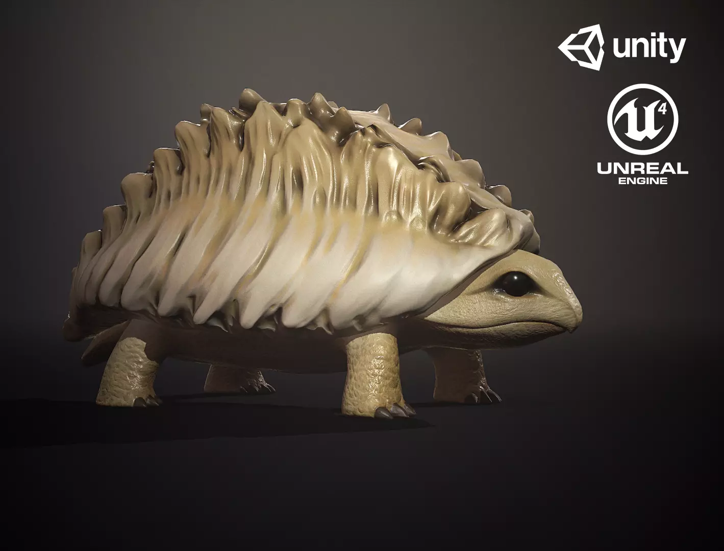 Tortoise1 - Game Ready Low-poly 3D model Low-poly 3D model_0