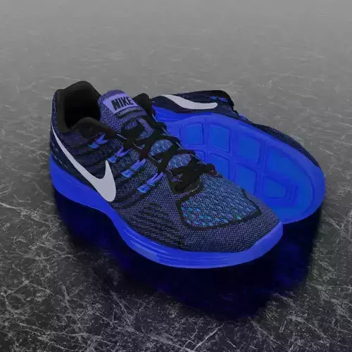NIKE LUNAR TEMPO 2 3D SHOES - BLUE Low-poly 3D model