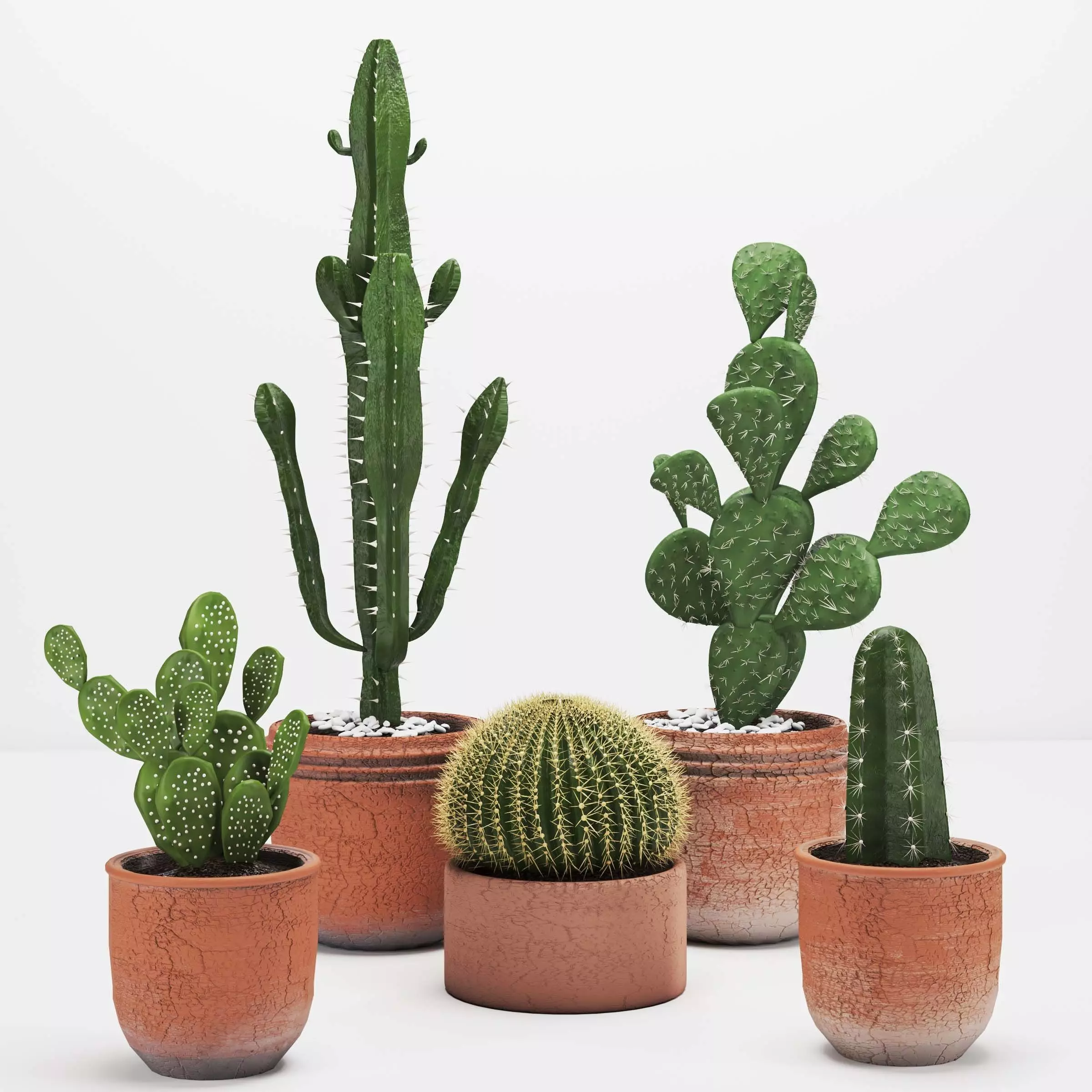 Indoor plant -set 03 3D model_0