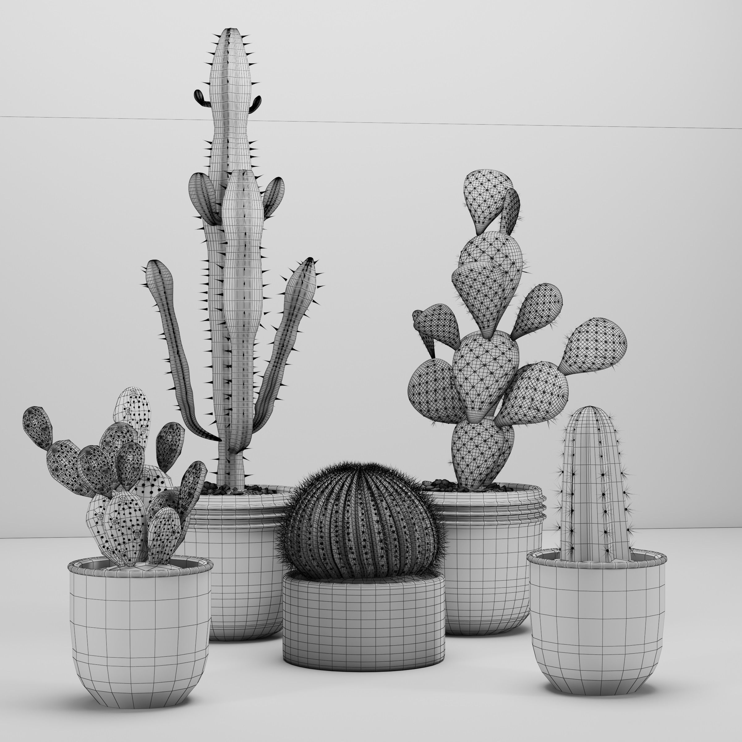 Indoor plant -set 03 3D model_3