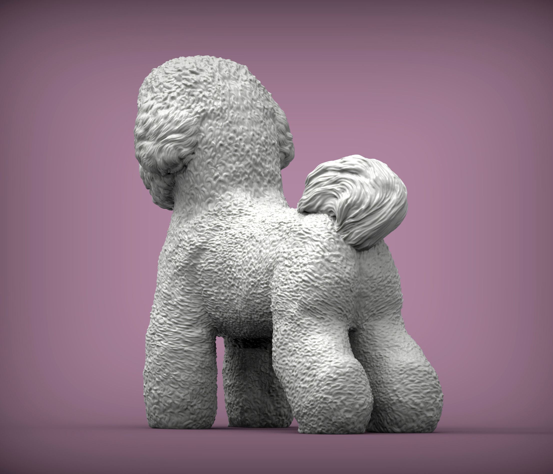 Bichon Frise 3D print model_4