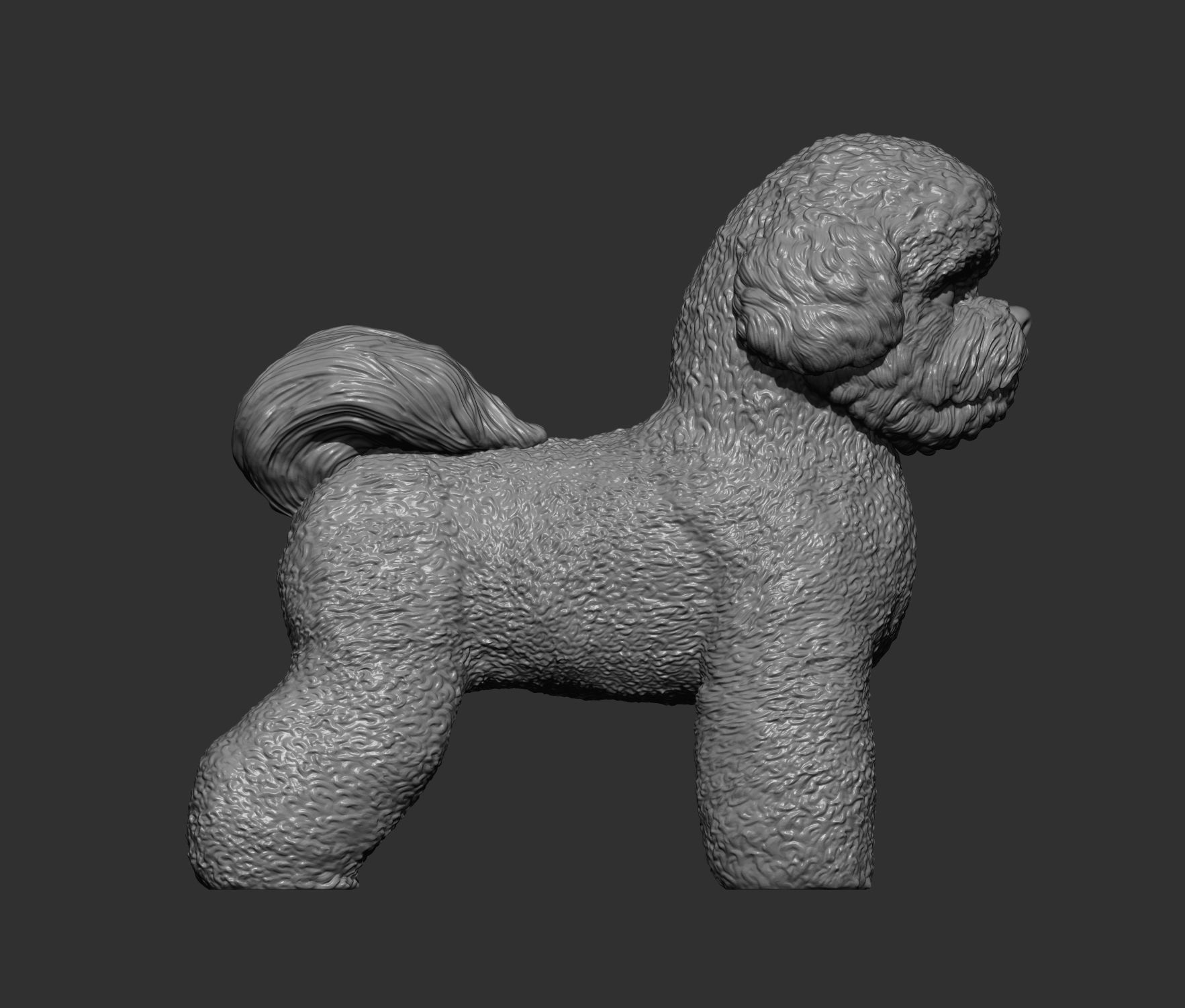 Bichon Frise 3D print model_9