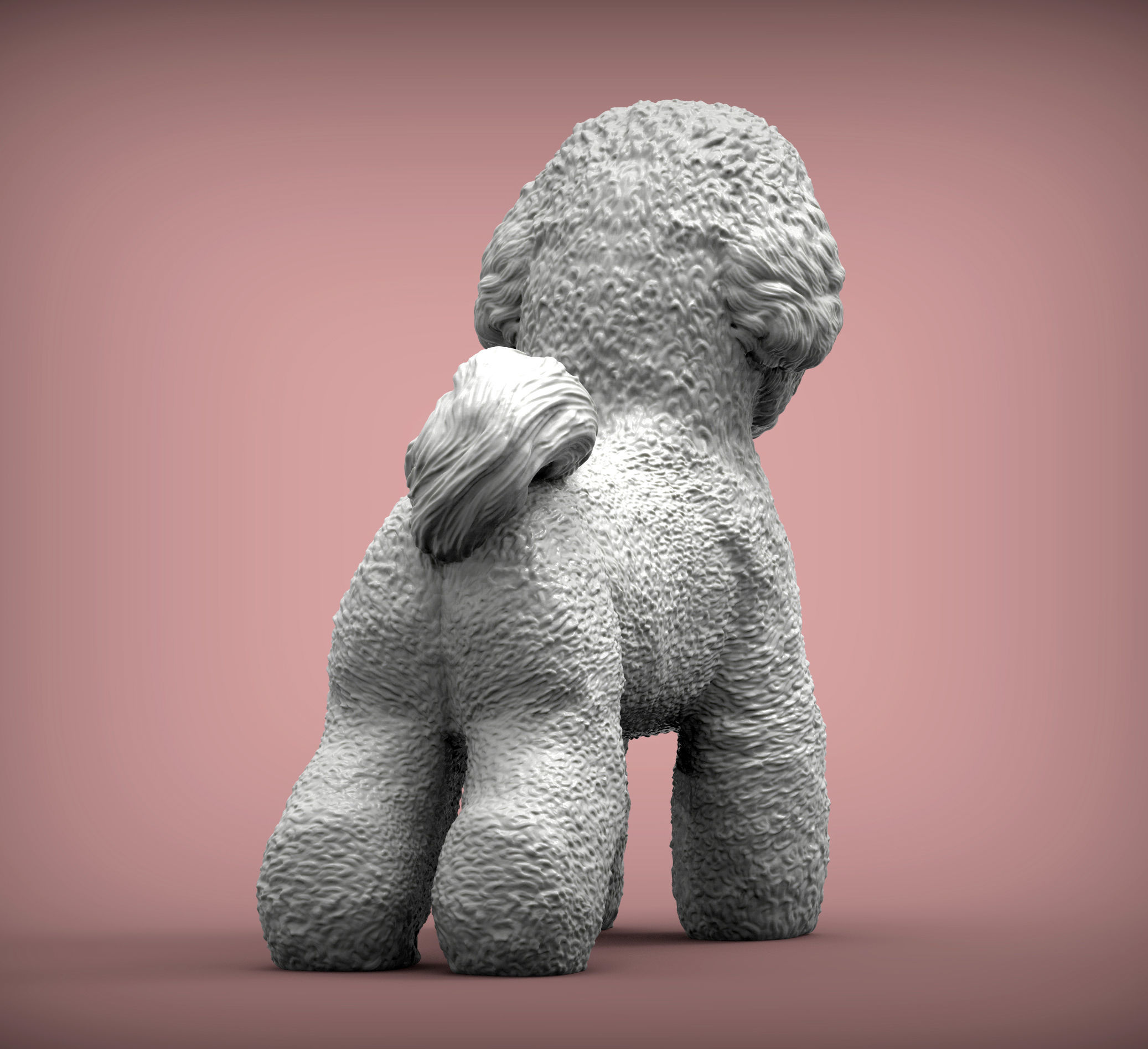 Bichon Frise 3D print model_5