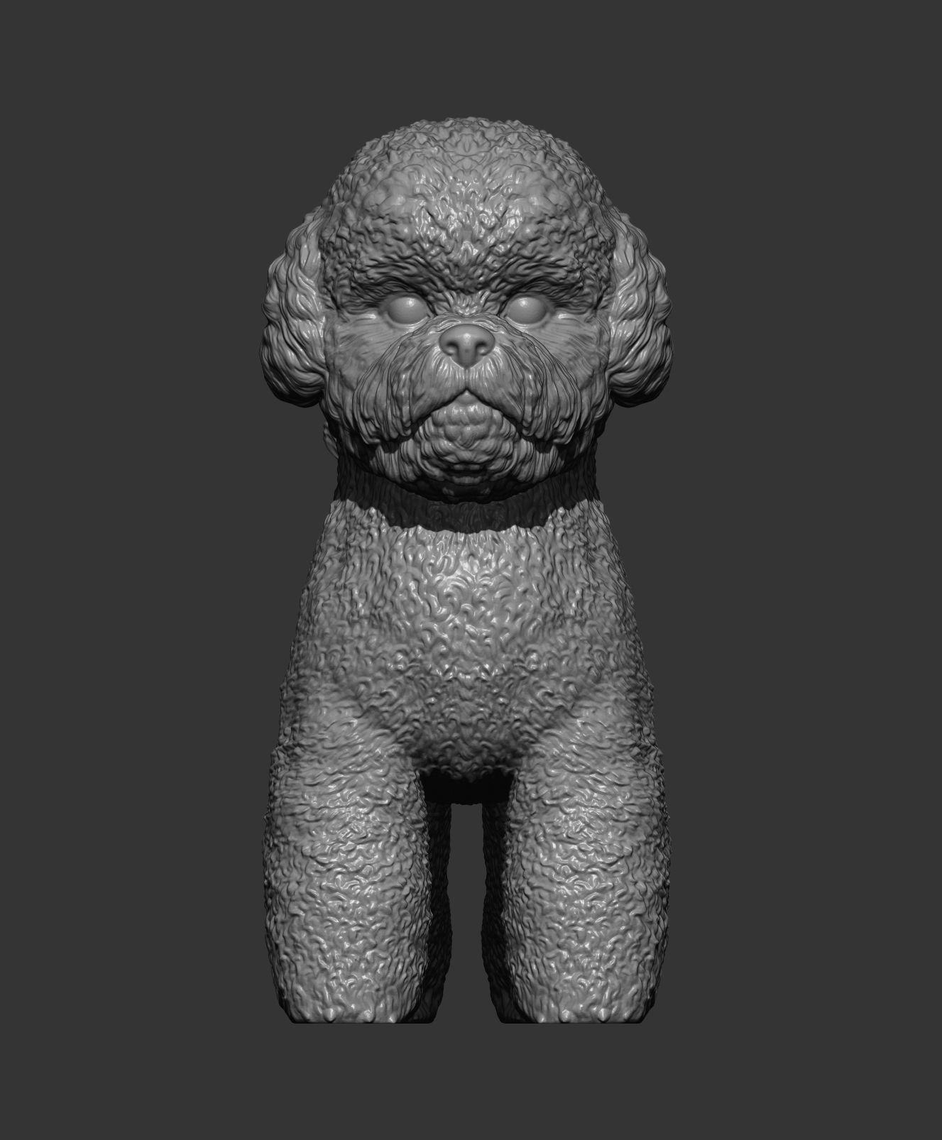 Bichon Frise 3D print model_10
