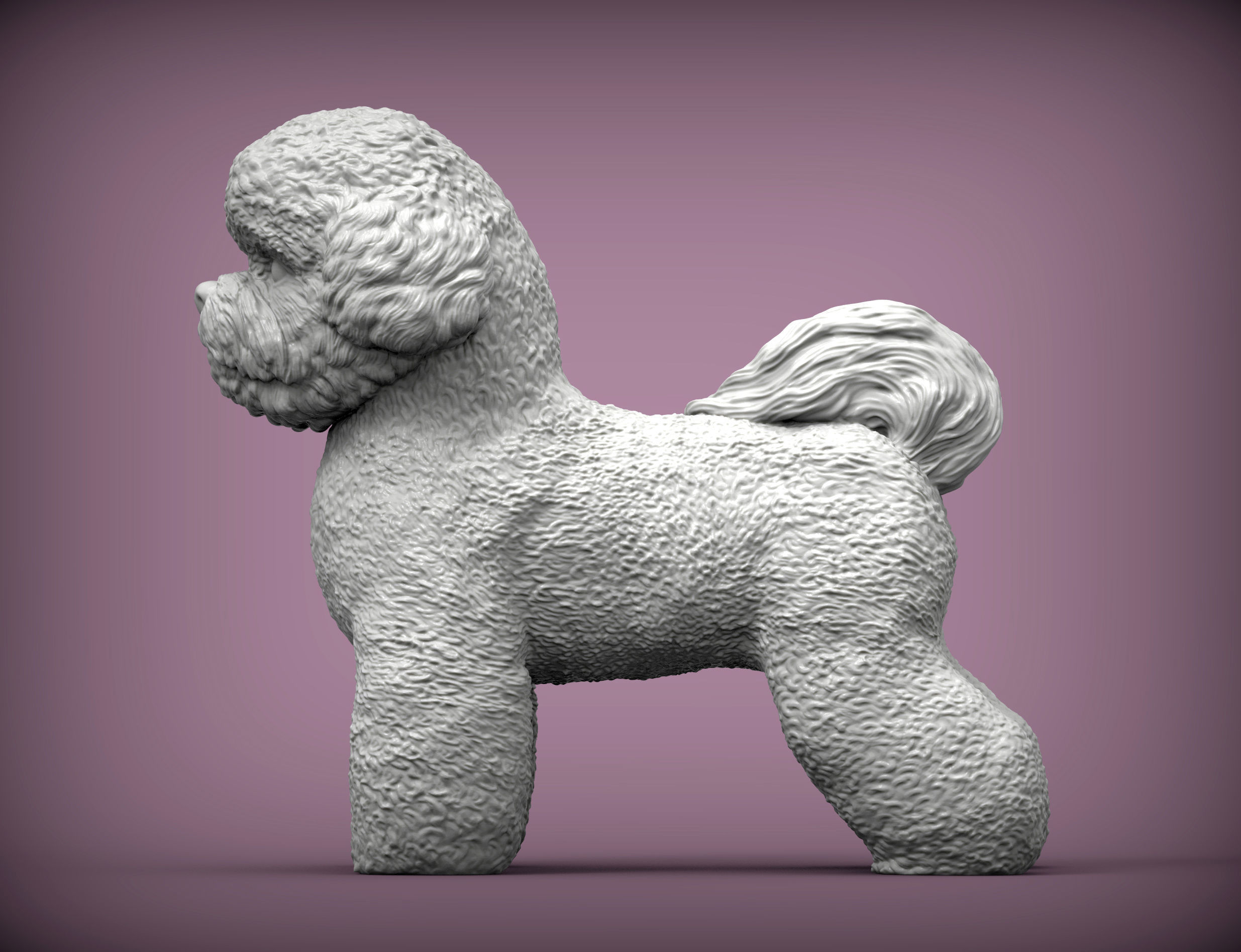 Bichon Frise 3D print model_2