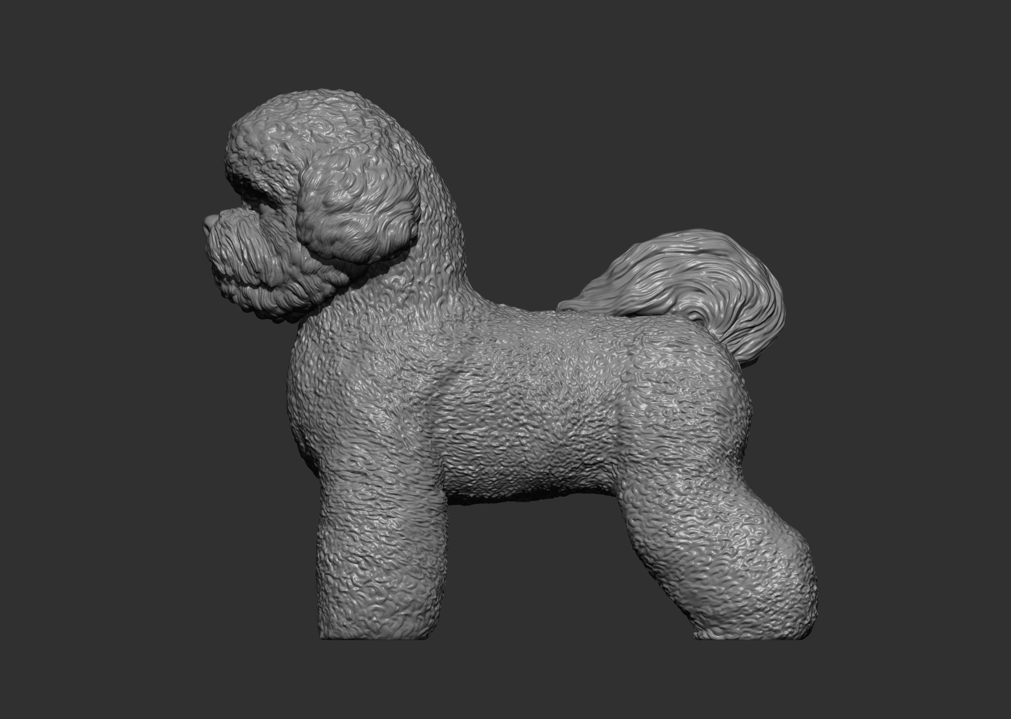 Bichon Frise 3D print model_8