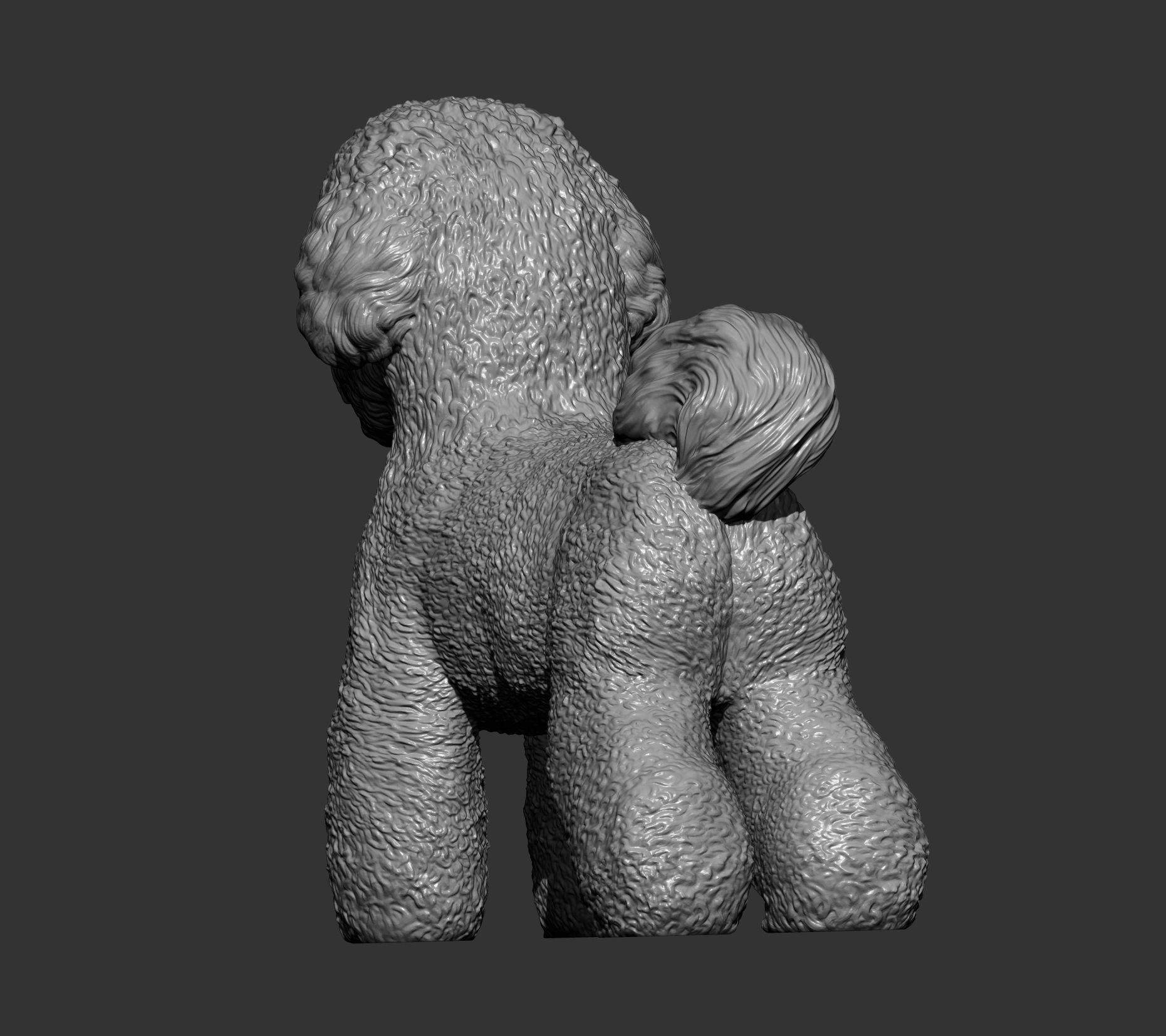 Bichon Frise 3D print model_7