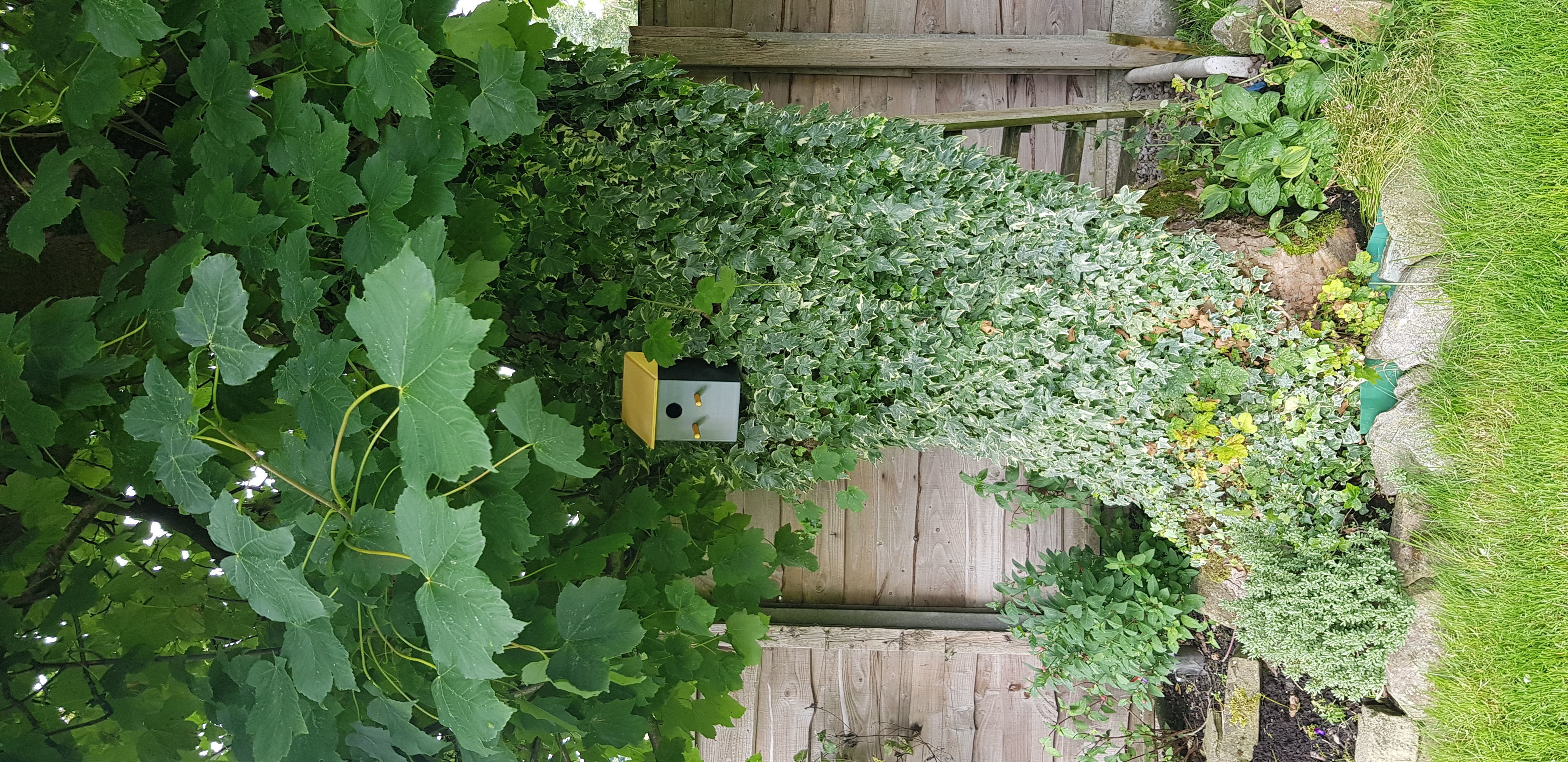 Eco Friendly Bird Box For Gardens Balconies Walls By CC3D 3D print model_4