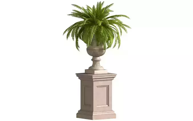 Fern in a classic Vase Flowerpot