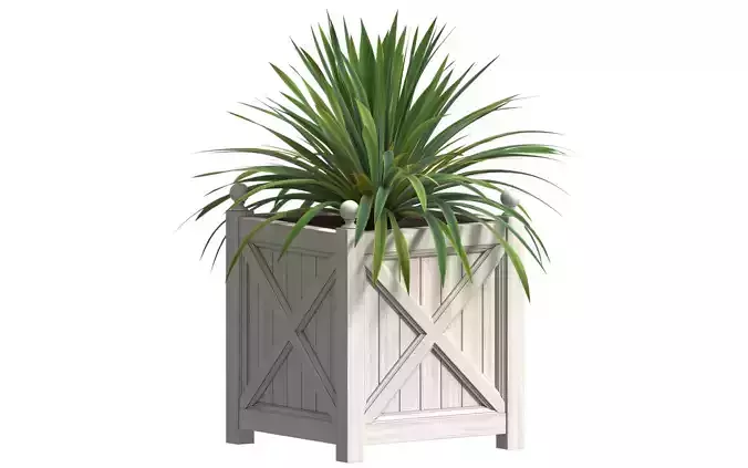 Plant in Wood Plant Box Timber wood planter
