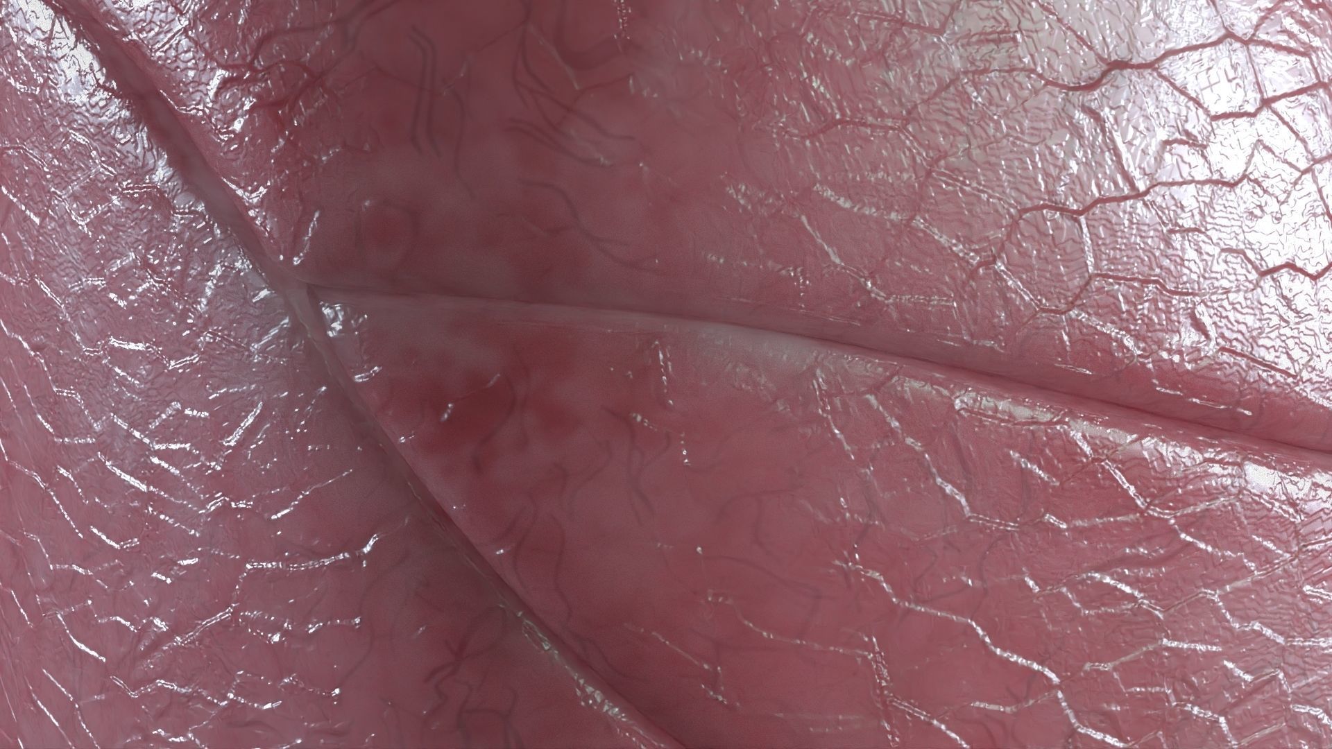 Respiratory System Low-poly 3D model_6