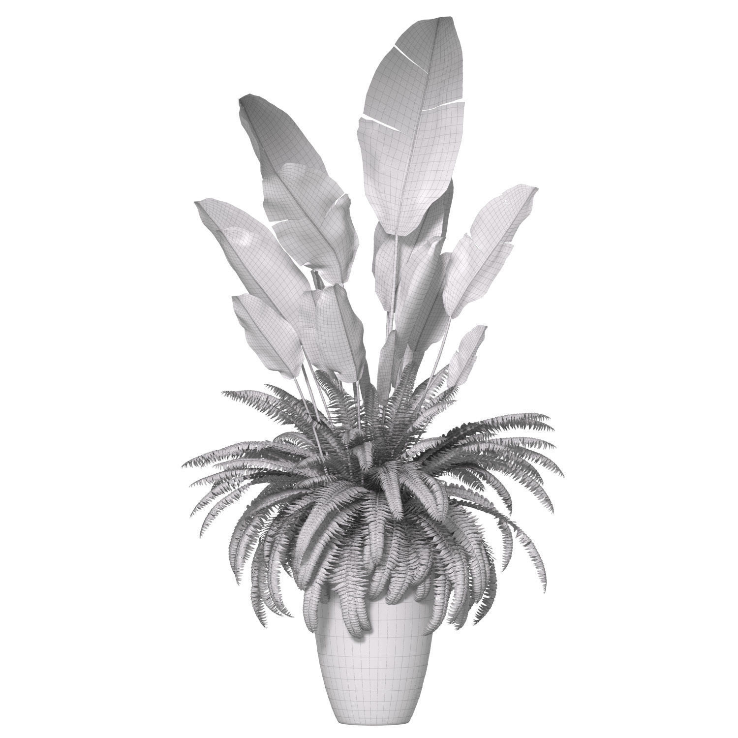Fern in a pot 3D model_2
