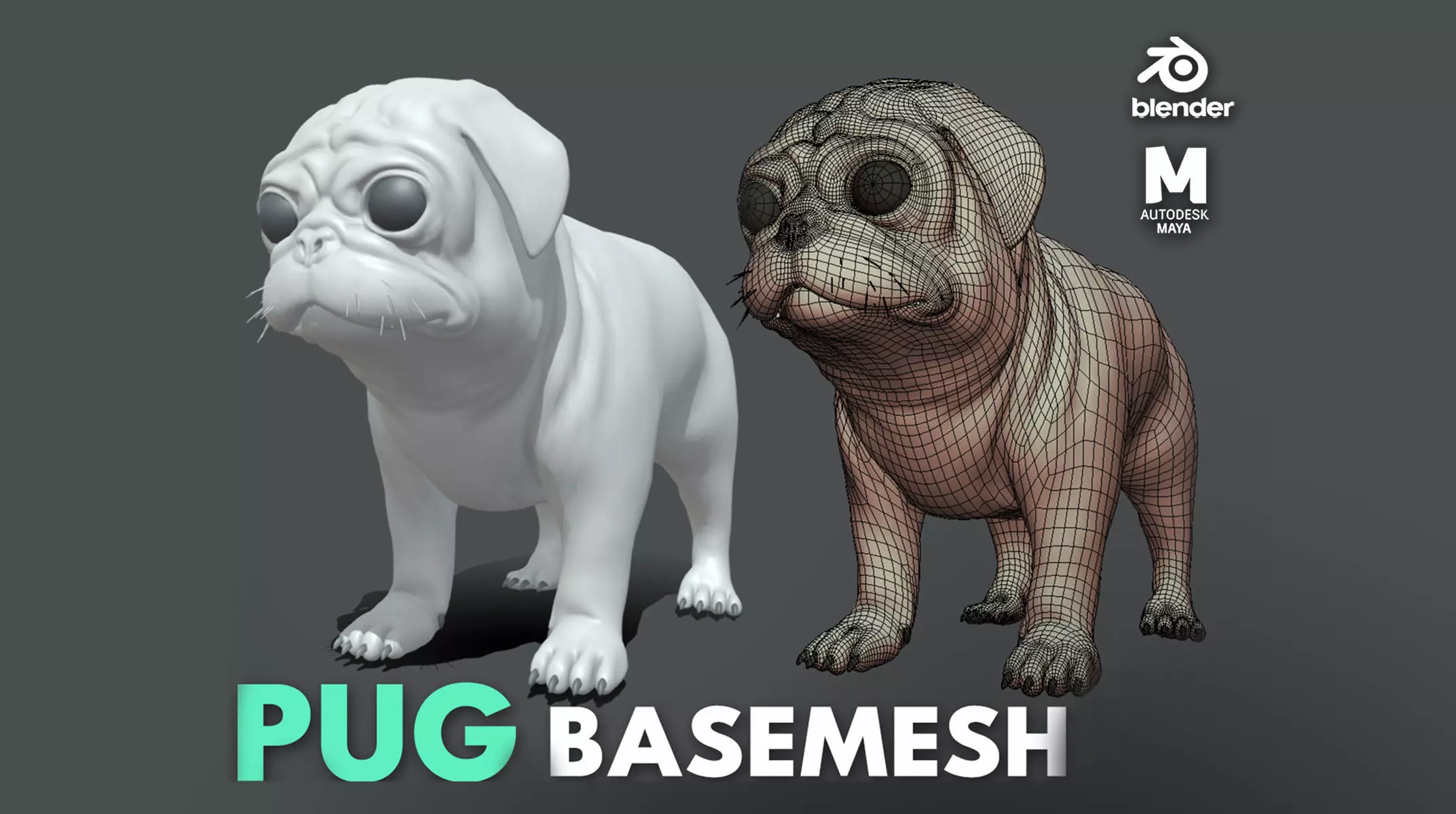 Pug Dog Low-poly 3D model_0
