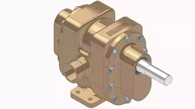 External Gear Pump 